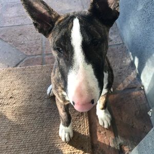 Meet your Posher, Kalli